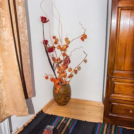 Kirpievata Kashta Casa vacanze *